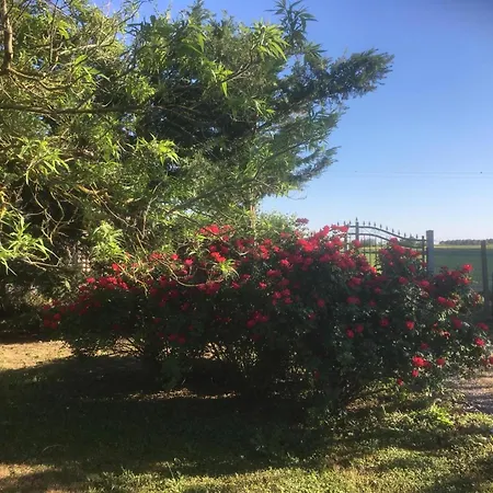 Casa Di Campagna Gazzo Veronese