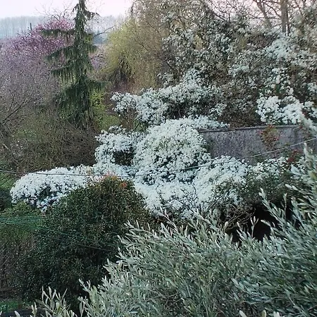 Casa Di Campagna Gazzo Veronese