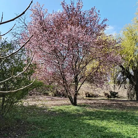 Casa Di Campagna