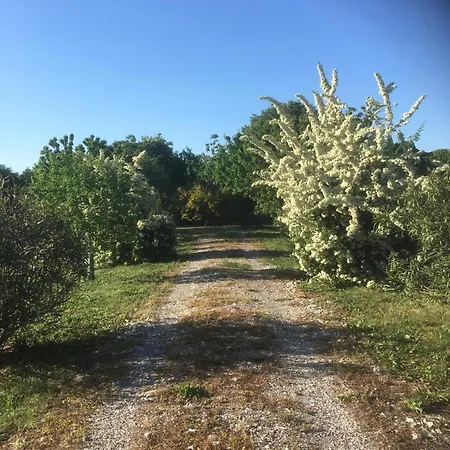 Casa Di Campagna Gazzo Veronese