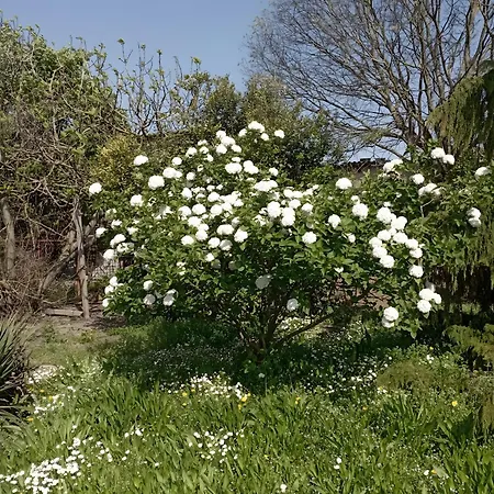 Casa Di Campagna