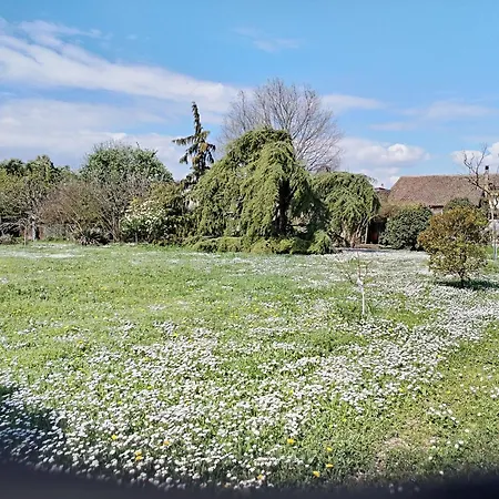 Casa Di Campagna