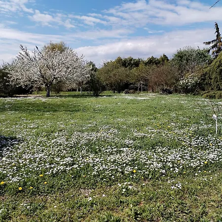 Casa Di Campagna
