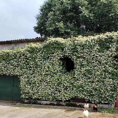 Apartamento Casa Di Campagna